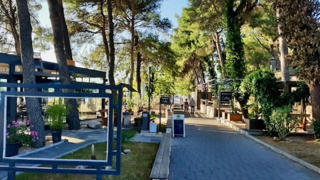 Zsa Zsa Holiday Home Srima Kültér fotó